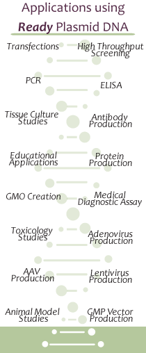 Puresyn ~ ResearchReady