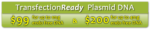 Puresyn ~ TransfectionReady